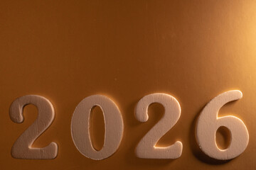 Tree Pine cones  on a neutral background