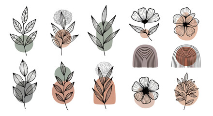 Modern botanical line art illustration set with earthy abstract organic shapes. Boho minimalist floral elements and hand-drawn leaves for natural aesthetic designs