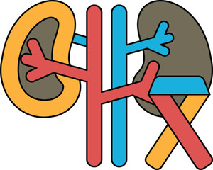 A drawing of a kidney and a heart with the word 