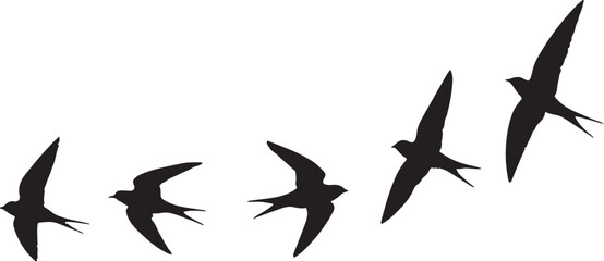 Silhouette vuogelzug vector vector. eps