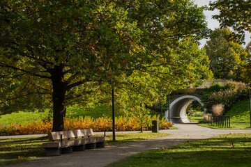 Fototapeta premium Peaceful park with pathway benches and green trees offering relaxing outdoor environment for walking recreation and leisure in natural urban space surrounded by vegetation