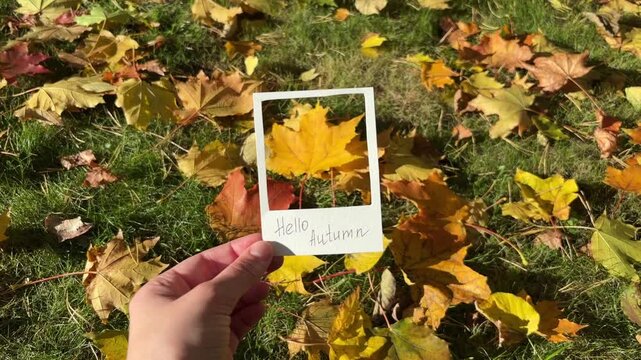 Hand holding a paper frame with "Hello Autumn" text, capturing vibrant fallen leaves on grass