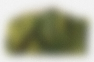 Lush green leaves creating a natural, organic background for design and copy space