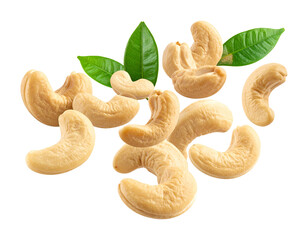 Cashew Nuts Falling Motion on Transparent Background