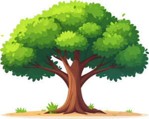 Tree Icon Isolated on White Background