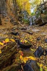Small waterfall flowing through a rocky forest gorge surrounded by colorful autumn leaves. Peaceful natural scene in vibrant fall colors and serene woodland atmosphere.