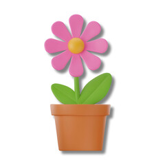 Fototapeta premium Plants and flower 