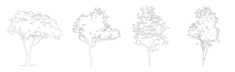 CAD Tree Line Drawing Set, Minimal Outline Trees for Architecture and Landscape Design