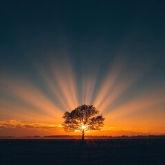 A lone tree stands silhouetted against a radiant, sunburst-like sunrise or sunset