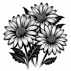 Elegant monochrome collection of delicate daisy illustrations in various artistic styles for graphic design projects