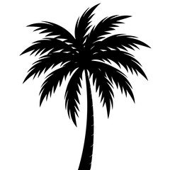 Fototapeta premium Isolated tropical palm tree silhouette perfect for summer vacation and beach designs