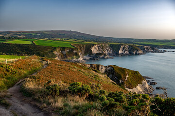 Naklejka premium Coastal Path At The Wild Atlantic Coast Of Dinas Head In Pembrokeshire In Wales, United Kingdom