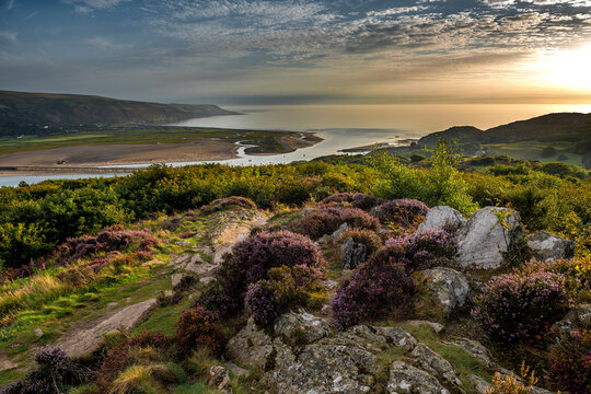 Mawddach River Estuary In Snowdonia National Park Near The City Of Barmouth In Wales, United Kingdom