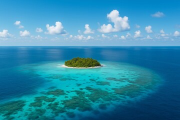 Island Paradise: An aerial perspective showcases a lush green island rising from a sea, ringed by vibrant coral reefs, under a clear blue sky. Witness the untouched beauty and tranquility.