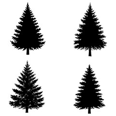 Elegant evergreen silhouettes for winter holidays or nature themed designs, scalable graphics