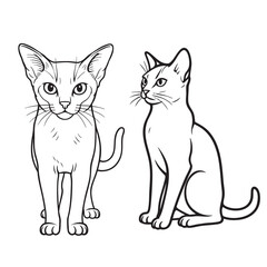 Curious Abyssinian Cat Sitting Upright on Two Legs Silhouette