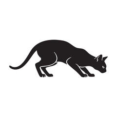 Abyssinians cat Smelling something, Alert Abyssinian Cat Hunting Stalking Crouch Silhouette outline vector, Abyssinian cat silhouette in a smelling/sniffing pose on white background