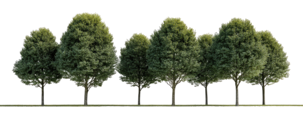 Row of leafy trees against black background