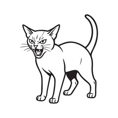 Abyssinians cat in an angry mood, fighting pose, roaring cat, Alert Abyssinian Cat Hunting Stalking Crouch Silhouette