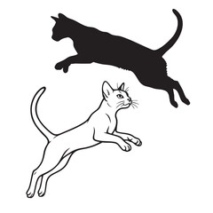 Abyssinians cat jumping pose, Dynamic Abyssinian Cat Jumping Silhouette Vector Icon