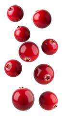 Fresh Cranberries Isolated on Transparent Background