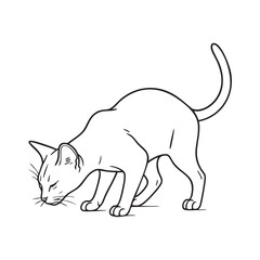 Abyssinians cat Smelling something, Alert Abyssinian Cat Hunting Stalking Crouch Silhouette outline vector, Abyssinian cat silhouette in a smelling/sniffing pose on white background