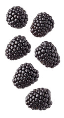 Fresh Blackberries Isolated on Transparent Background