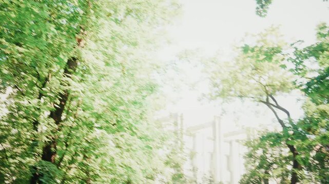 Happy woman jogging in green park on sunny morning - Powered by Adobe