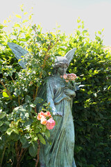 sehr schöner großer Engel in einer blühenden Rosenhecke auf einem Münchner Friedhof © Blende8