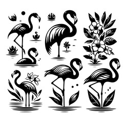 Collection of six stylized flamingo illustrations with floral and aquatic elements in black and white