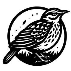 Illustration of a detailed black and white bird perched inside a circular frame with decorative elements