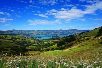 Akaroa, New Zealand: Akaroa peninsula seen from a viewpoint