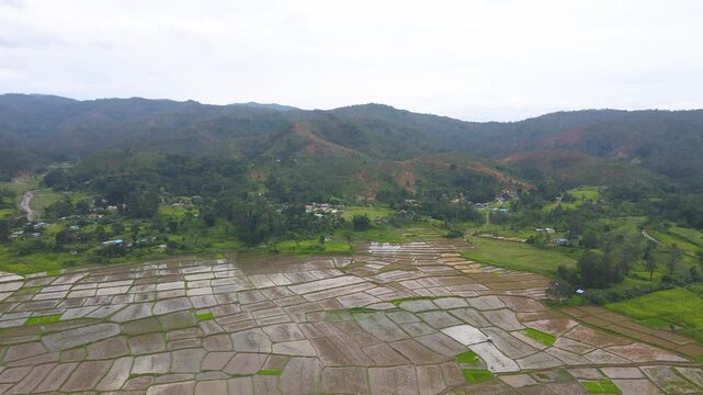 The agricultural landscape of Aileu, Timor-Leste, seen from above. An aerial view shows the geometric patterns of wet rice paddies with mountains in the background.