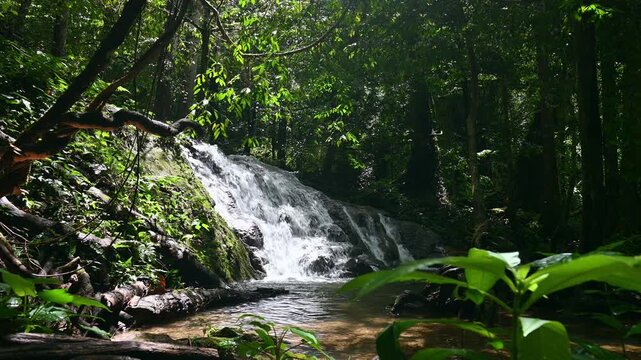 Tranquil scene of cascade under sunlight in rainforest. Beautiful summer waterfall in the woodland surrounded by lush foliage vegetation in the jungle. Sa Manora Forest Park. Phang Nga. Thailand.