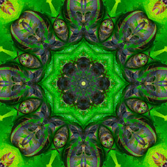Vibrant green kaleidoscope mandala of intricate geometric and organic forms with radial symmetry, creating a mesmerizing, abstract pattern.