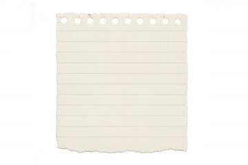 Torn blank ruled paper with punched holes from a spiral notebook, a memory note or message background, transparent