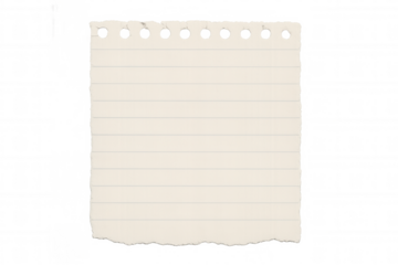 Torn blank ruled paper with punched holes from a spiral notebook, a memory note or message background, transparent