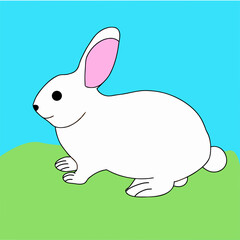 Cute little white rabbit sitting on grass