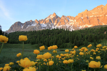 The Mirror Lake in the hautes alpes the Natural Park of Queyras