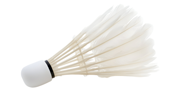 Traditional feathered shuttlecock for badminton on white background