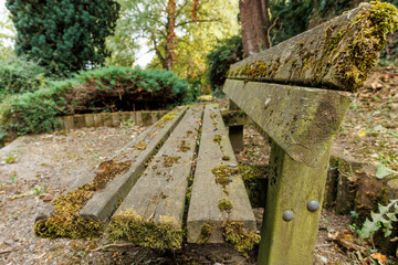 View of an old wooden bench in a public park, France