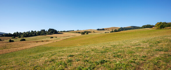 Panoramic view of a meadow in Besse-et-Saint-Anastaise, Auvergne