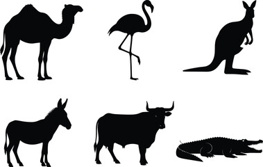 Animal silhouette set, desert, aquatic, farm, and wild vector icons, camel, flamingo, kangaroo, donkey, bull, crocodile, black design