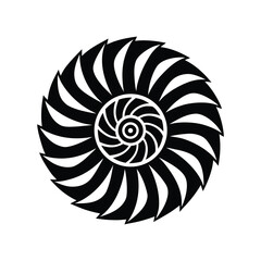nautilus shell isolated on white background