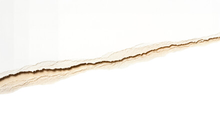  torn paper edge 