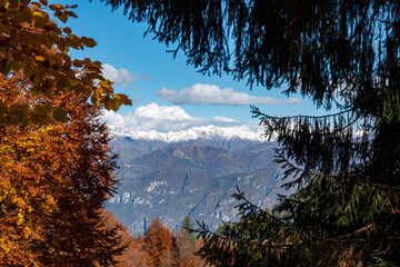 Beautiful orange and red autumn forest and snowy mountains