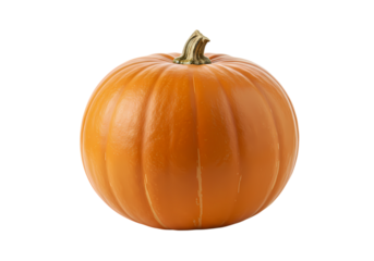 Large Orange Pumpkin with Stem on White Background