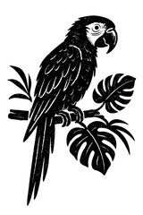 Obraz premium Striking black silhouette of a majestic tropical macaw parrot perched on a branch with lush monstera leaves, featuring a unique distressed woodcut linocut style illustration. Ideal for exotic jungle,