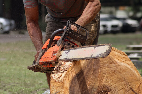 A worker powerfully operates a chainsaw to slice through a large tree trunk, with sawdust flying, highlighting intense manual labor and forestry.