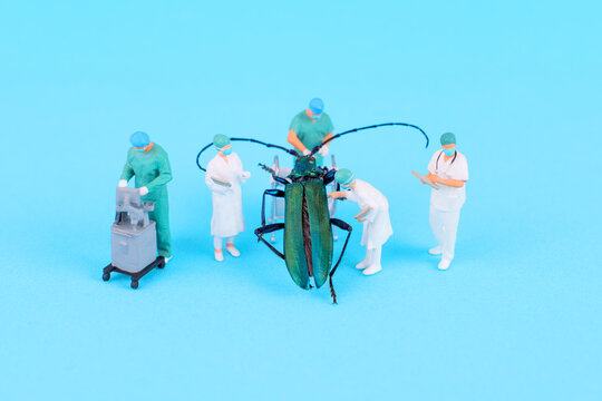 Detail-Oriented Study of a Large Beetle by Miniature Scientists in Laboratory Setting